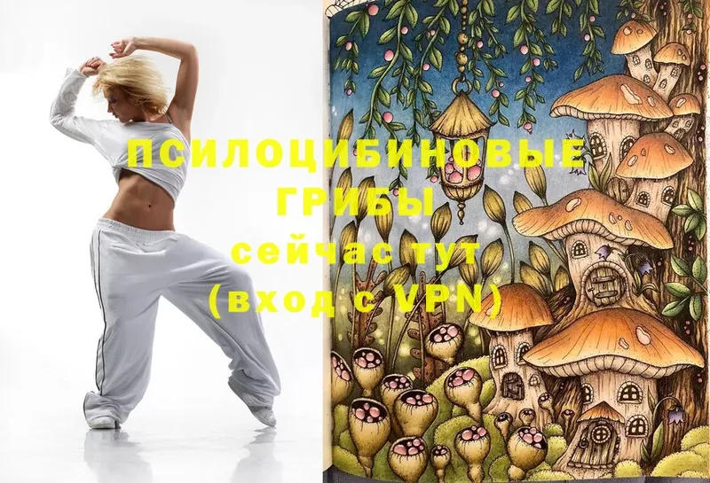 Псилоцибиновые грибы Magic Shrooms  как найти наркотики  Заполярный 